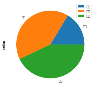 Pie chart with incorrectly rendered Japanese